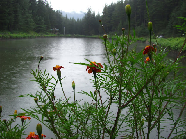 Tani jubbar lake Narkanda