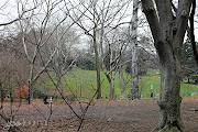 Central Park (central park)