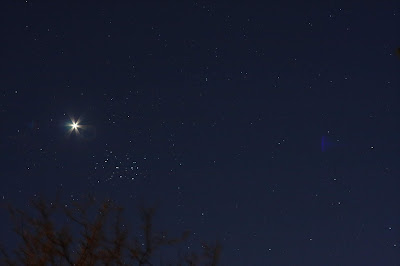 Venus east of the Pleiades