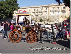 Hestetaxa i Valletta