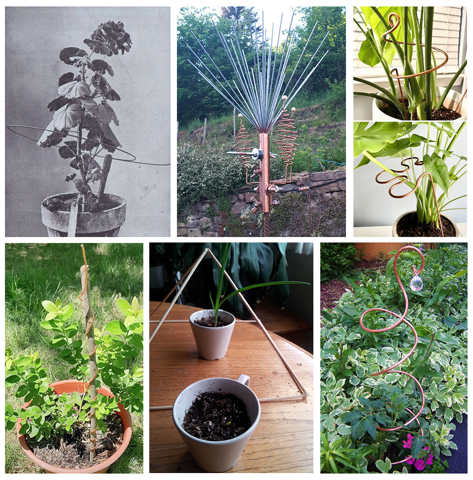 DIY Easy Electroculture Plant Antenna, Homestead Herbs & Healing