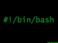 /bin/bash