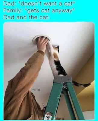 Meme%20-%20Dad%20and%20the%20cat.png