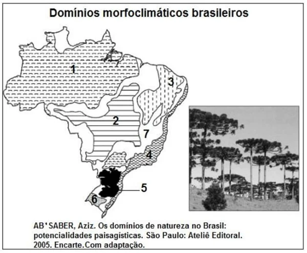 Domínios morfoclimáticos brasileiros