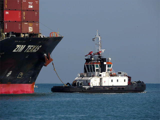 Tug Francesca Neri, IMO 9239290, port of Livorno