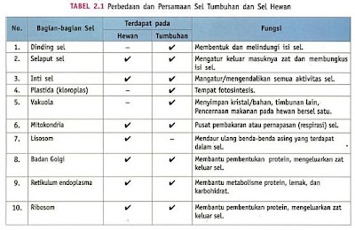 Biologi Kelas XI Perbedaan  Sel  Hewan  dan  Sel  Tumbuhan  