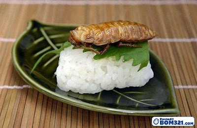 Hidangan Sushi Di Jepun