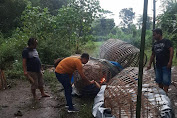 Sabung Ayam di Grebek Polres Jombang, Dua Pelaku Diamankan 