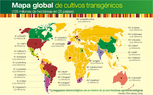 Resultado de imagen de burkina faso monsanto transgénico