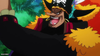 ワンピース アニメ 1087話 黒ひげ Marshall D. Teach 女ヶ島 アマゾンリリー ONE PIECE Episode 1087