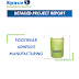 Project Report on Footwear Adhesive