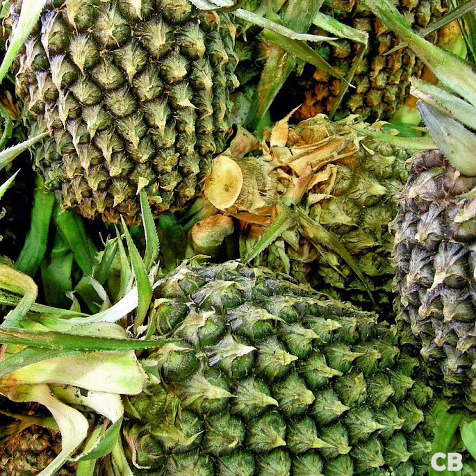 Ananas