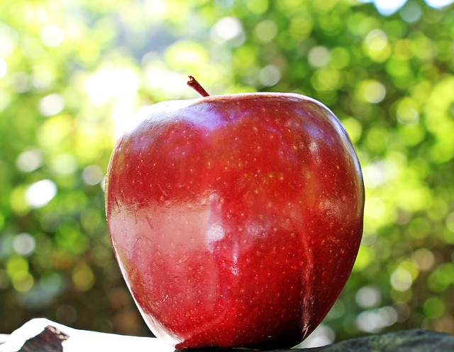 The Bountiful Benefits of Incorporating Apples into Your Daily Diet i what benefits of eating apples I Apples for a healthy lifestyle