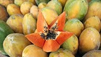 CUBAN FRUIT