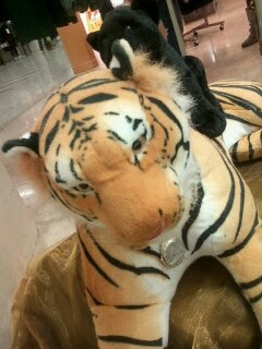 Tiger stuffed