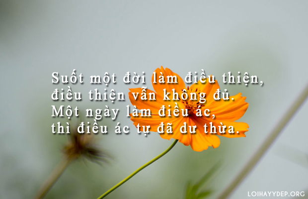 Suốt đời làm điều thiện, điều thiện vẫn không đủ. Một ngày làm điều ác, thì điều ác đã dư thừa.