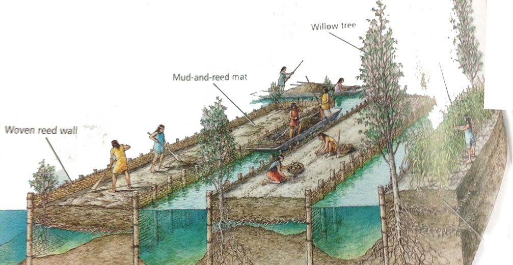 Antknee's Aquaponics Blog: What is Aquaponics???