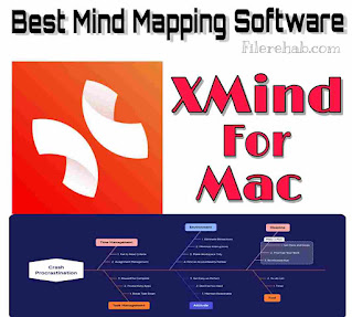 XMind for Mac is an adequate mind mapping software to manage information, goals, and data