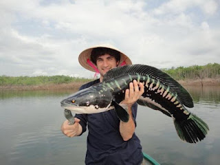  Memancing merupakan salah satu acara yang banyak disukai baik oleh anak cukup umur maupun  Nah ! Cara Memancing Casting Yang Ampuh