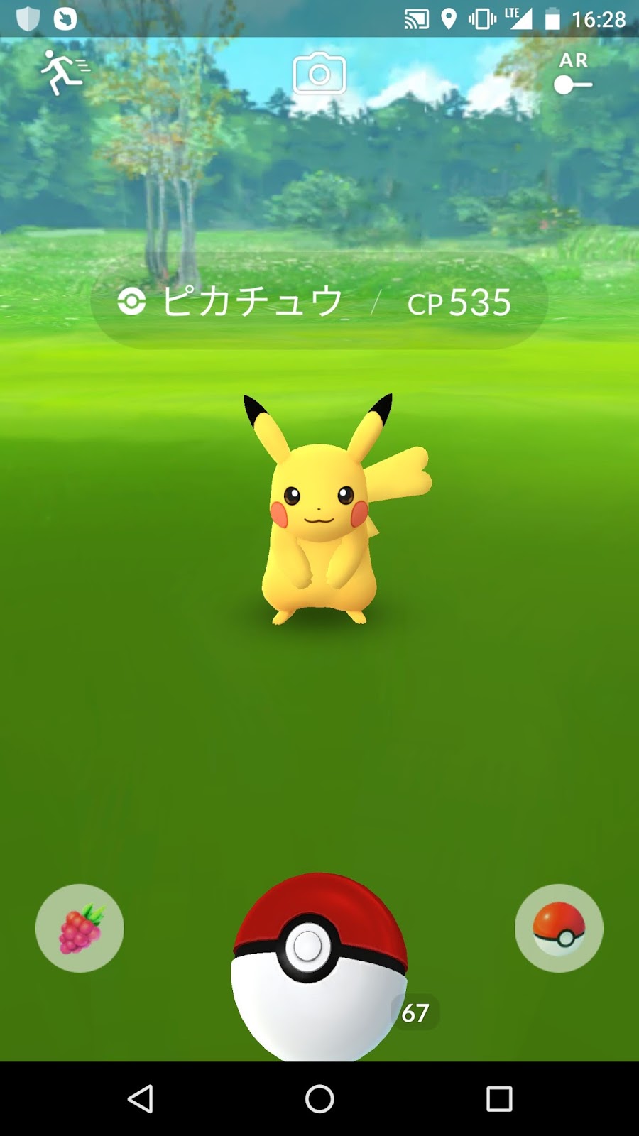 ポケモンgo日記 Pokemon Go Diary In Japan ポケモンgoのピカチュウ 野生でメスのポケモンも出現 Female Pickachu Was Found In Wild