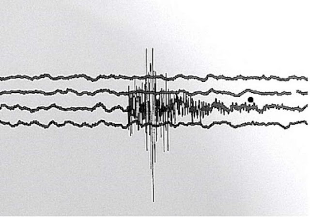 Terremoto in Centro Italia - Aggiornamento 16.45