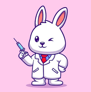 vrai sujet santé lapin)