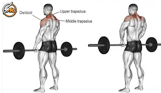 7 Best Shoulder Barbell Exercises for a Killer Workout