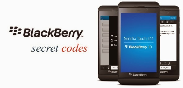 Blackberry Secret Codes