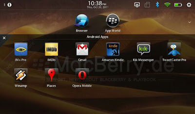 Blackberry Playbook