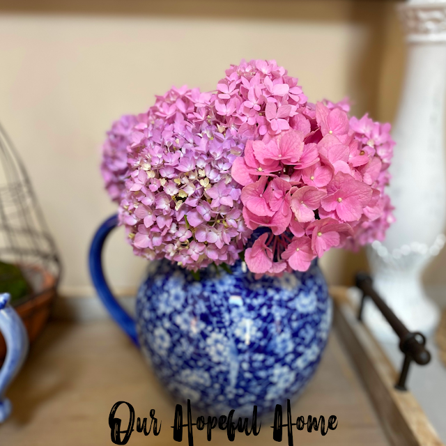 pink big leaf hydrangeas in blue vase pitcher