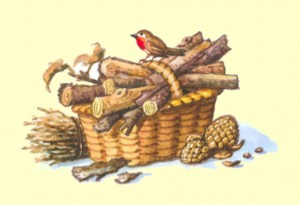 ecobio eco bio ecologico biologico naturale natural organic fitocose cestino inverno winter pettirosso bird