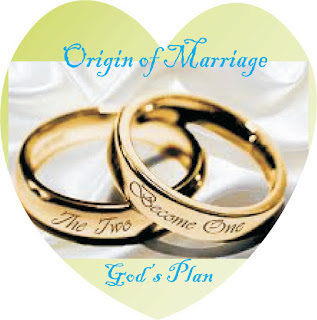Discovers God's Plan For Marriage
