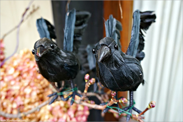 Decoraciones de Cuervos por Halloween en Back Bay, Boston