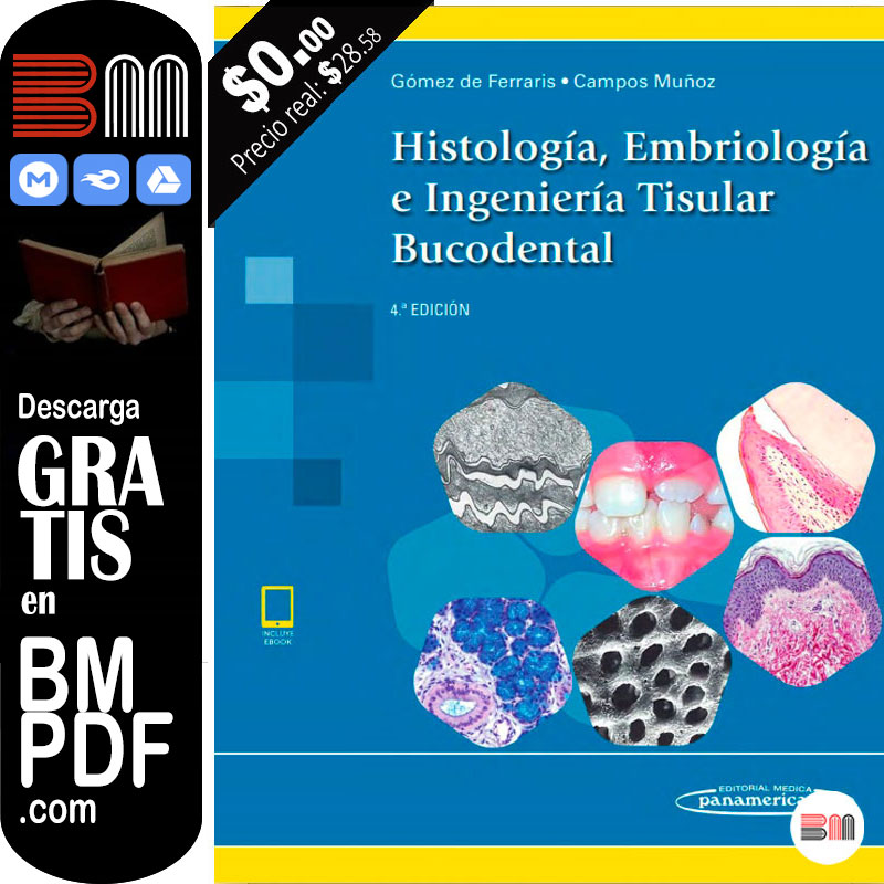 Histología Embriología Ingeniería Tisular Bucodental 4 edición PDF