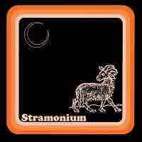 pochette STRAMONIUM elder moon 2022