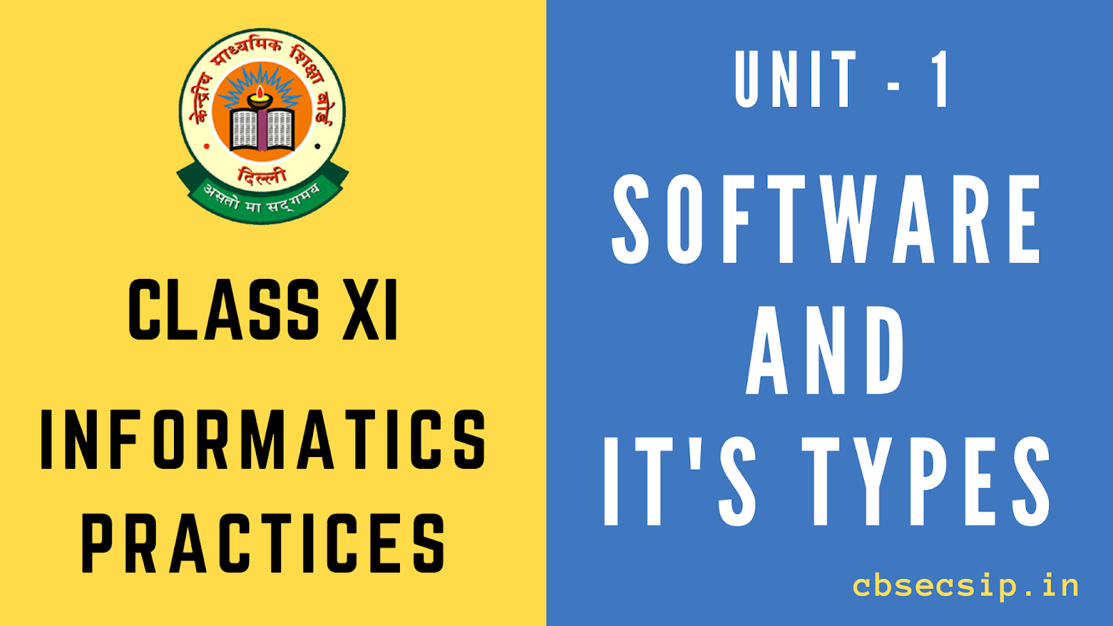 class 11 informatics practices Software and its type