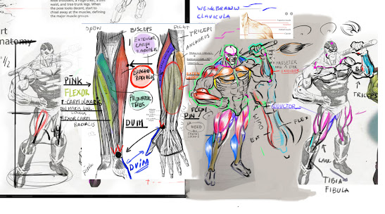 anatomie tekenen,anatomisch tekenen,spieren tekenen,anatomie leren tekenen,figuren tekenen