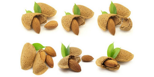  DISTRIBUTOR KACANG ALMOND CALIFORNIA Negara