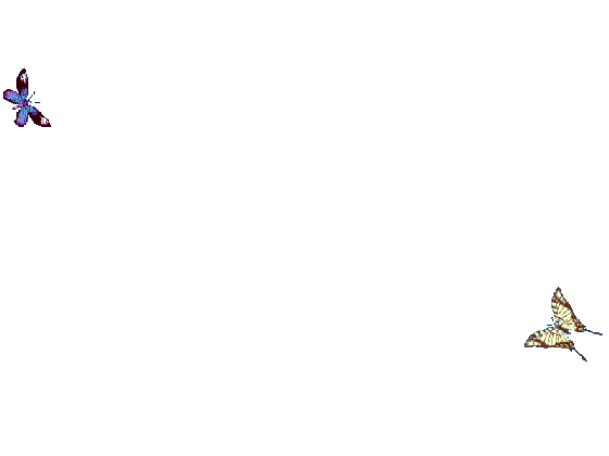 Celebrity Model Animated Wallpaper Celebrity Model Animated Wallpaper