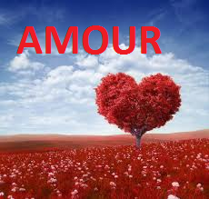 La vraie question qui me travaille encore parfois est : « combien de fois faut-il passer par là pour rencontrer le véritable, le SI spécial grand amour dont on cesse de nous parler depuis notre tendre enfance ? Existe-t-il vraiment, ou ne serais-ce finalement qu’une volonté d’avancer coûte que coûte que l’on finit par prendre, un peu comme désenchanté ?» Pour certains les choses sont plus simples, ils connaissent une déception amoureuse et tombent sur « la bonne personne » juste après.