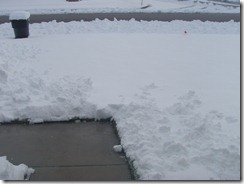 Snow April 009
