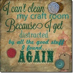 I cant clean my craft room