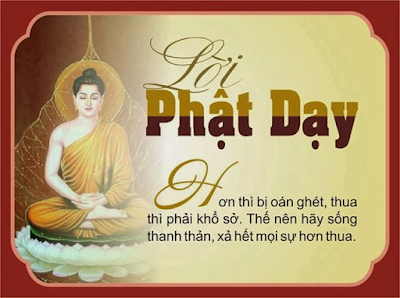 Thị phi