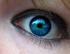 blue-525x406