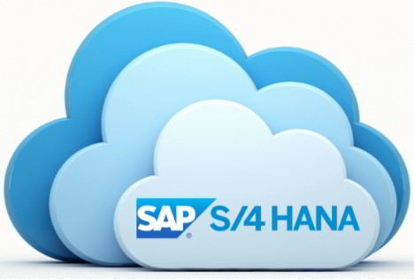 Manual Mantenimiento S4Hana Cloud Consultoria-SAP