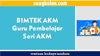 Apa Itu Asesmen Nasional (AN) dan Asesmen Kompetensi Minimum (AKM) ?