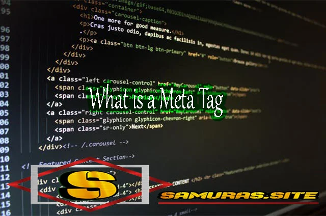 What is a Meta Tag