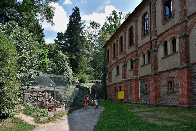 Atrakcje Gołuchowa - Muzeum Leśnictwa