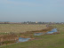Orford