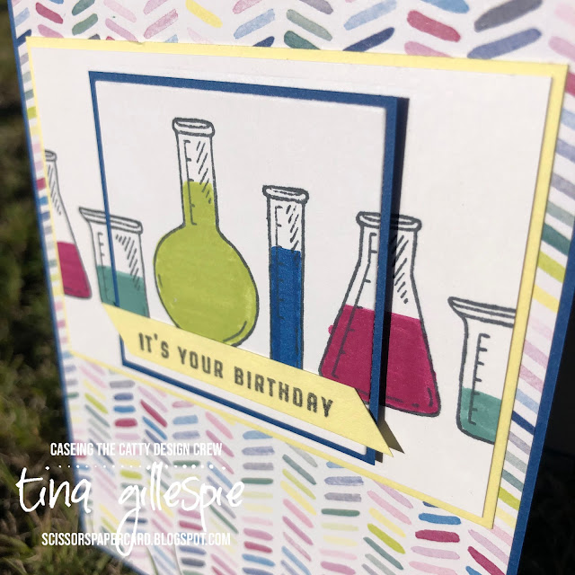 scissorspapercard, CASEing The Catty, Stampin' Up! It's A Science, Bright & Beautiful DSP